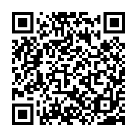 QR code for plate YSF-013