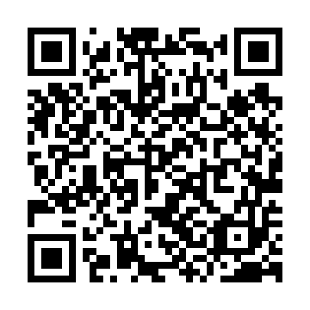 QR code for YSL653