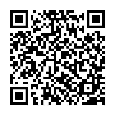 QR code for YSN383