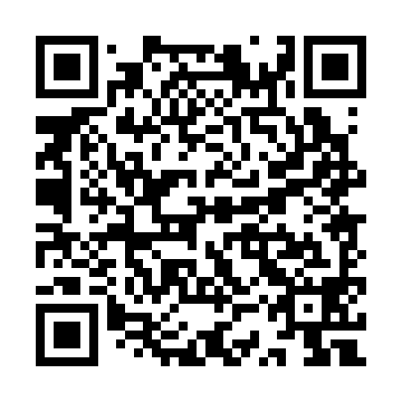 QR code for YSP398