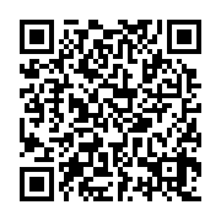 QR code for YSV338