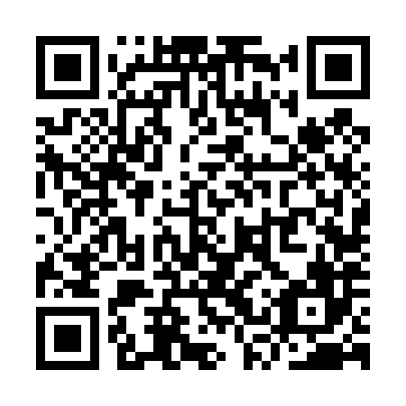 QR code for YSV486
