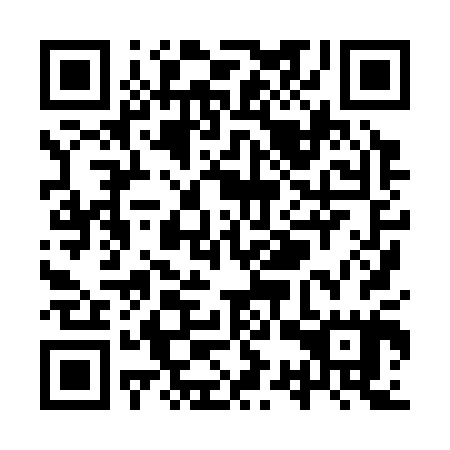 QR code for plate YSX-305