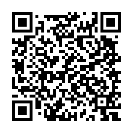 QR code for plate YVJ-491