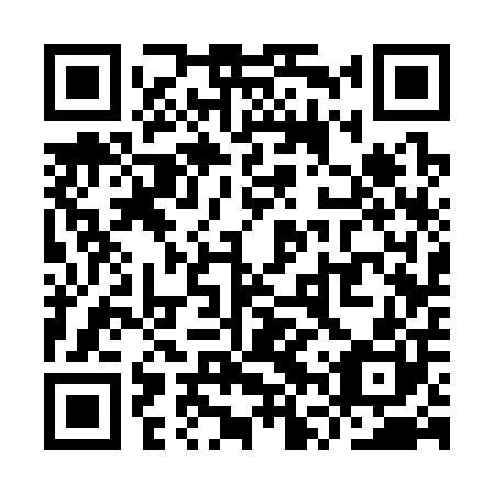 QR code for plate YVS-300