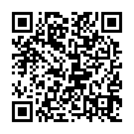 QR code for YVV313