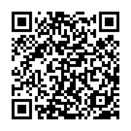 QR code for plate YWP-411
