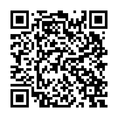 QR code for plate YZY-607