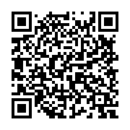 QR code for plate Z00-88P