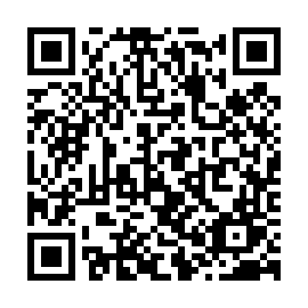 QR code for Z0346T