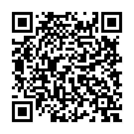 QR code for Z04-81V