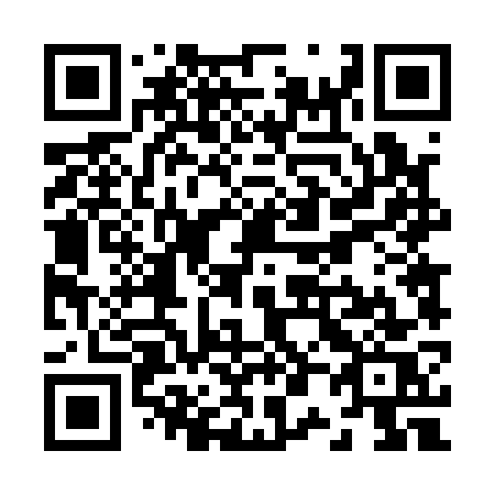 QR code for Z0417S
