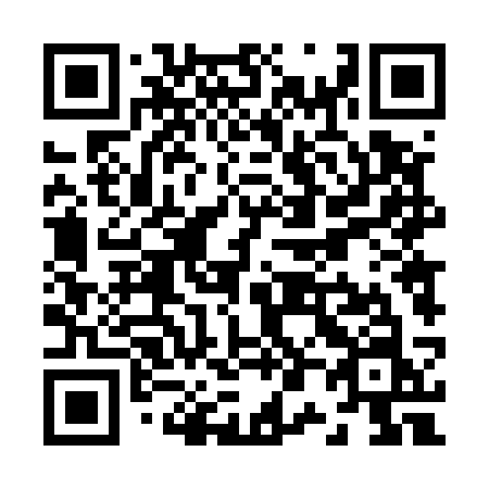 QR code for Z0453N