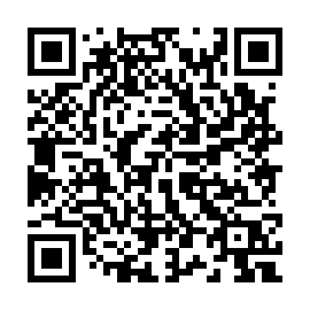 QR code for Z0817P