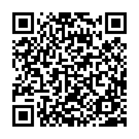QR code for plate Z10-46T