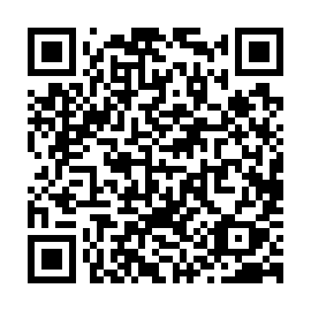 QR code for Z1079Y