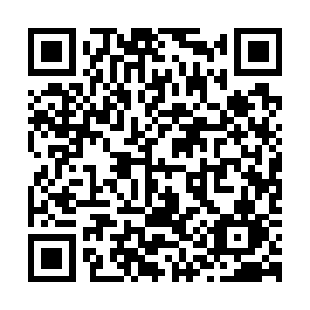 QR code for Z1173N