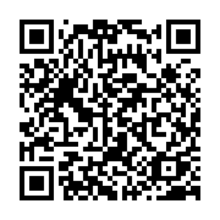QR code for Z19-91Q