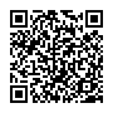 QR code for plate Z19-46P