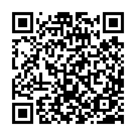QR code for Z20-64P