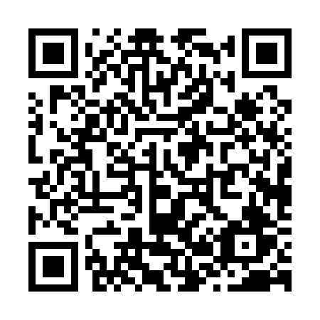 QR code for plate Z20-12V