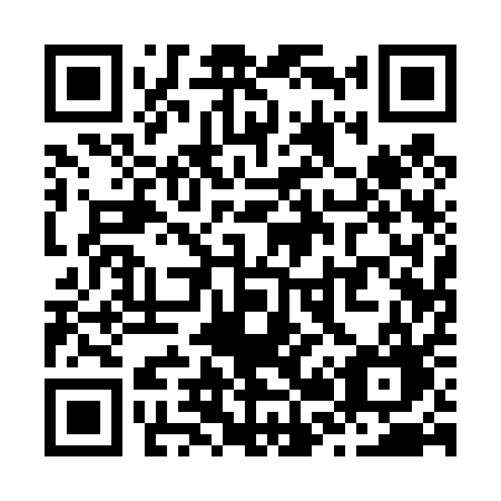 QR code for Z2141G
