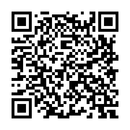 QR code for plate Z28-96I