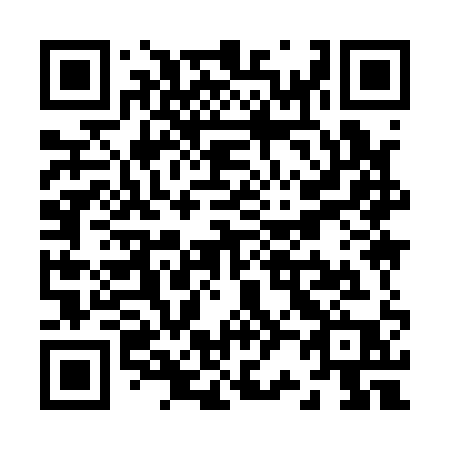 QR code for Z2911P