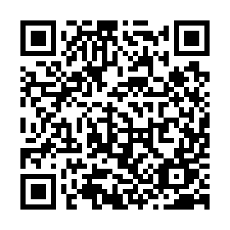 QR code for Z31-75T