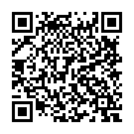 QR code for Z31-81Y