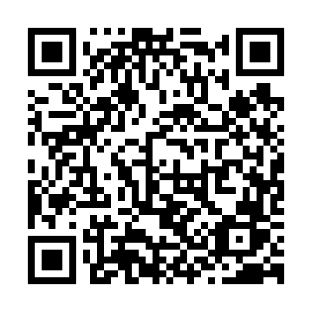 QR code for plate Z31-66R