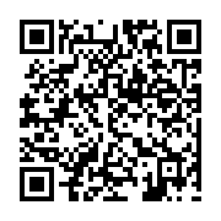 QR code for Z33-95X