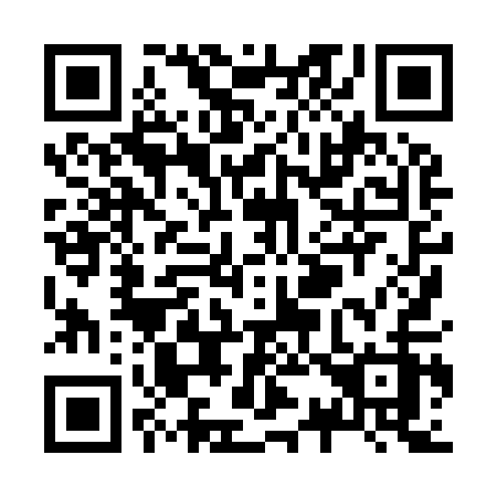 QR code for Z38-91Z