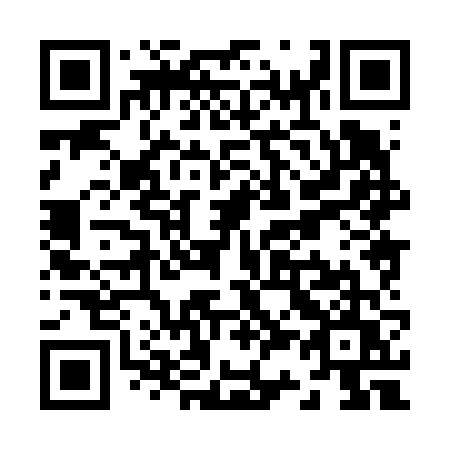 QR code for plate Z38-66U