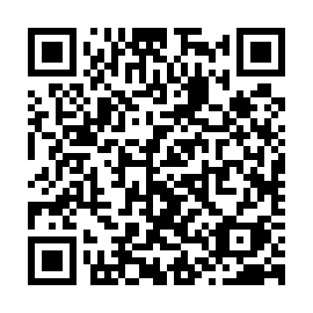 QR code for Z4253I