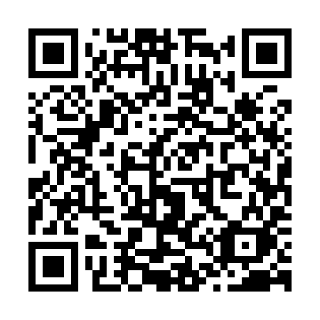 QR code for plate Z45-99K