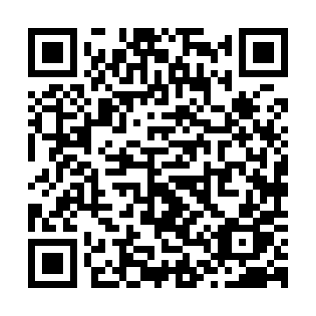 QR code for Z48-90P