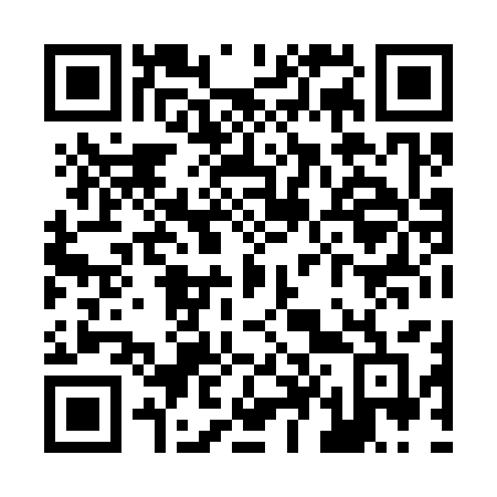 QR code for plate Z48-33F