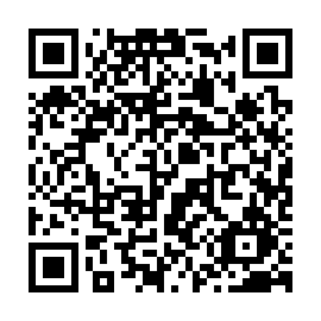 QR code for plate Z51-32N