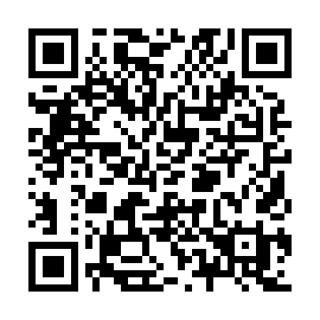 QR code for plate Z51-84I