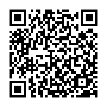 QR code for Z62-51T