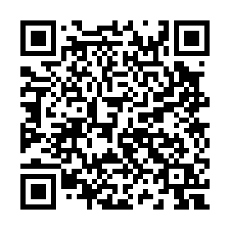 QR code for plate Z63-01Q