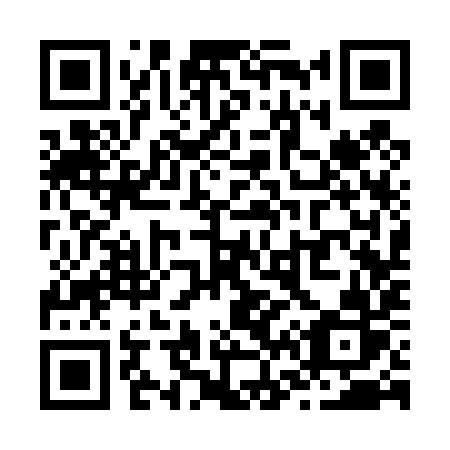 QR code for plate Z63-49R