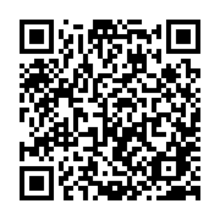 QR code for plate Z66-38C