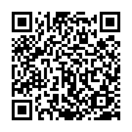 QR code for plate Z66-53R
