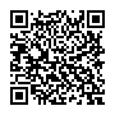 QR code for Z6991G