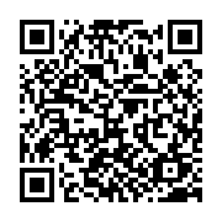 QR code for Z8113T