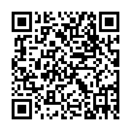 QR code for plate Z87-19M
