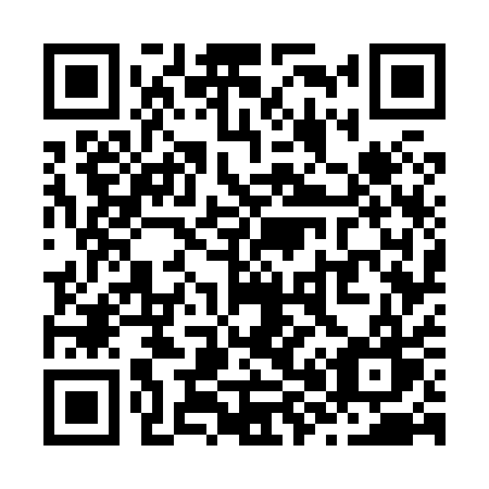QR code for plate Z87-81W