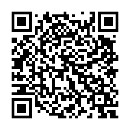 QR code for plate Z89-45U